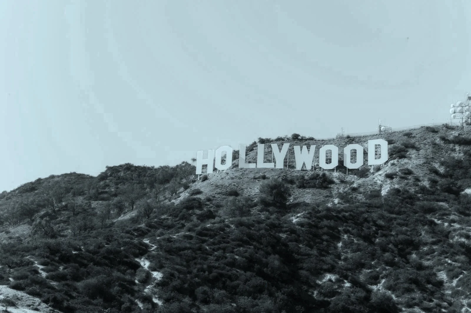 hollywood5.jpg