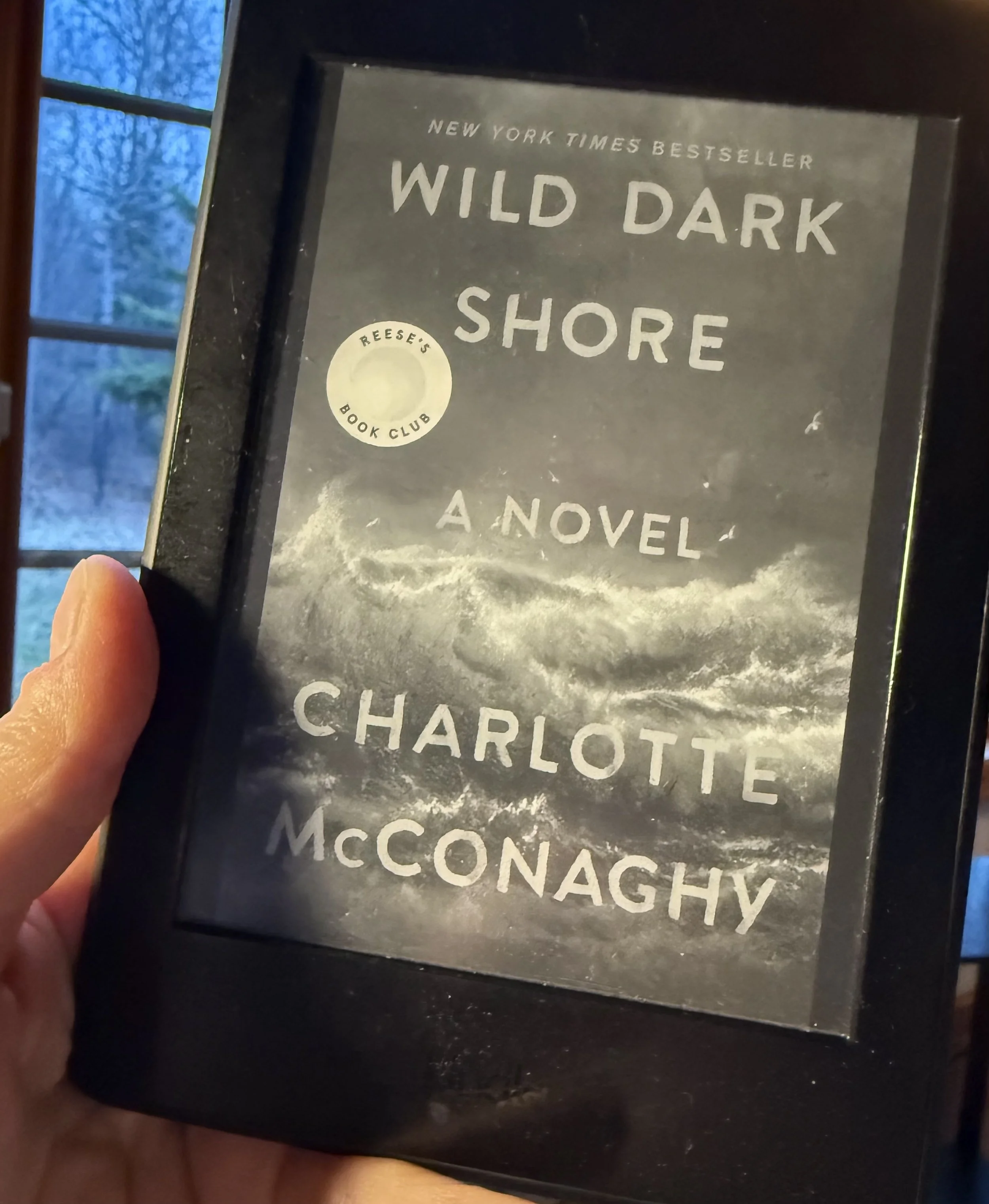 Wild Dark Shore