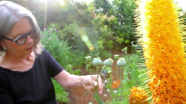 Karen Ford, Landscape Architect