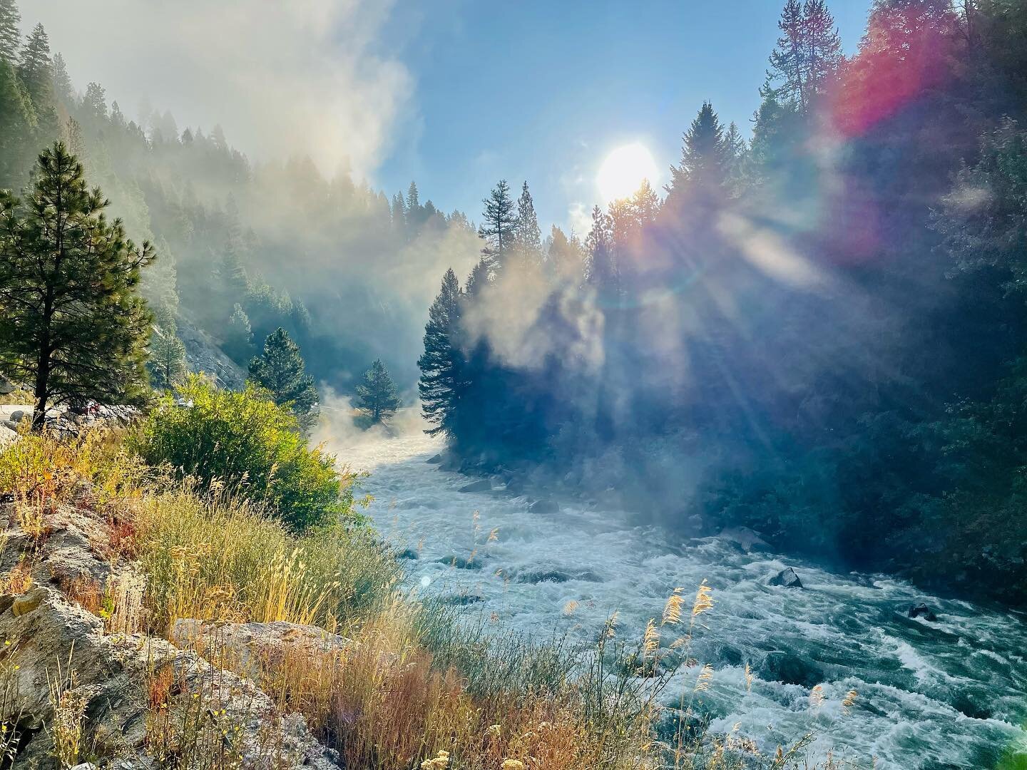 Had so much fun making pretty pictures for Alita Films/ @nature_org in Boise, The City of Trees, with @robert.anthony . 

Feeling very fortunate to have my job align with my values, and get to do my small part in fighting climate change. Look at this