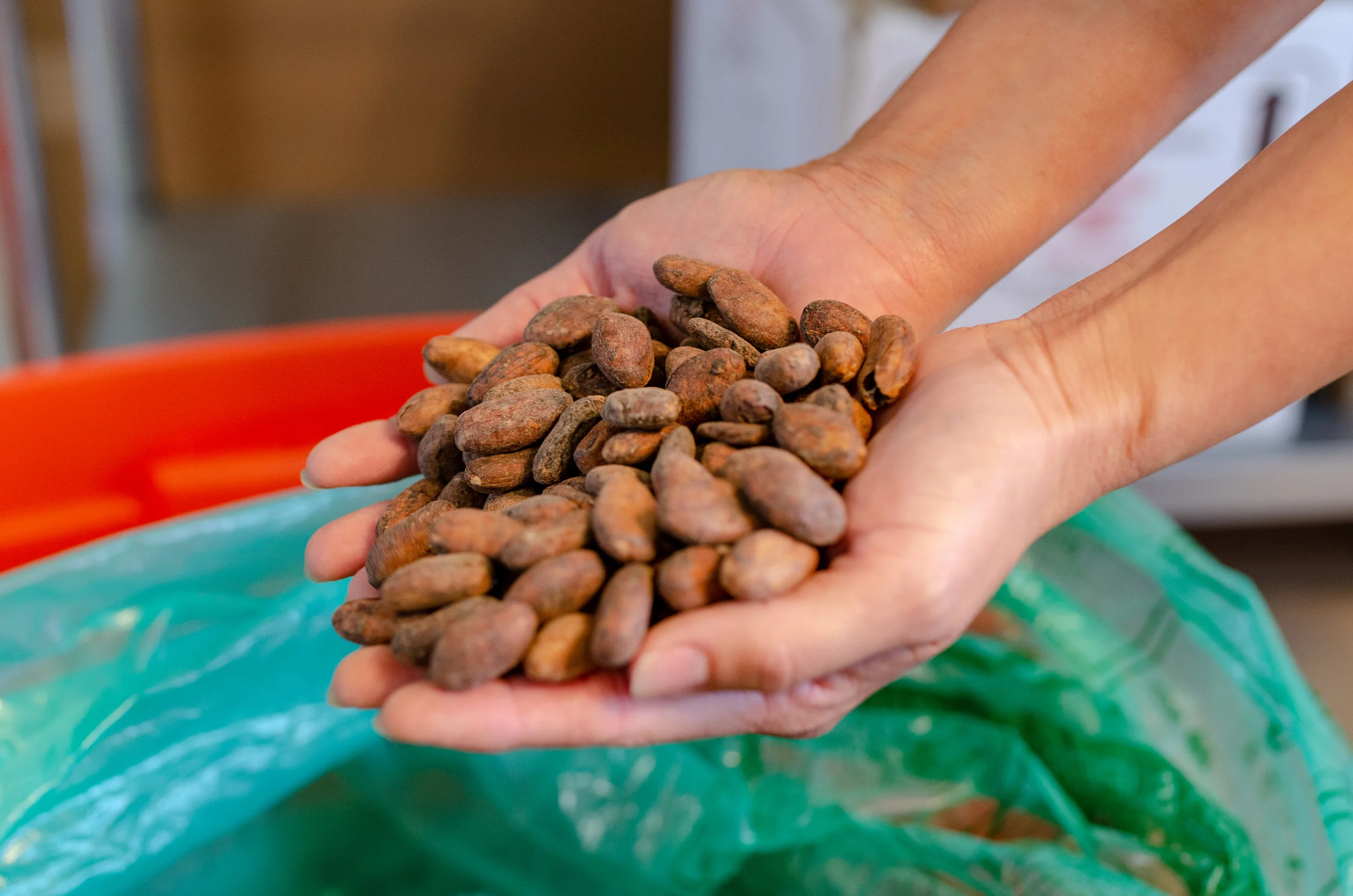 Amor Cocoa-20.jpg