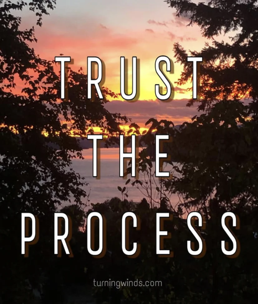 Trust the Process