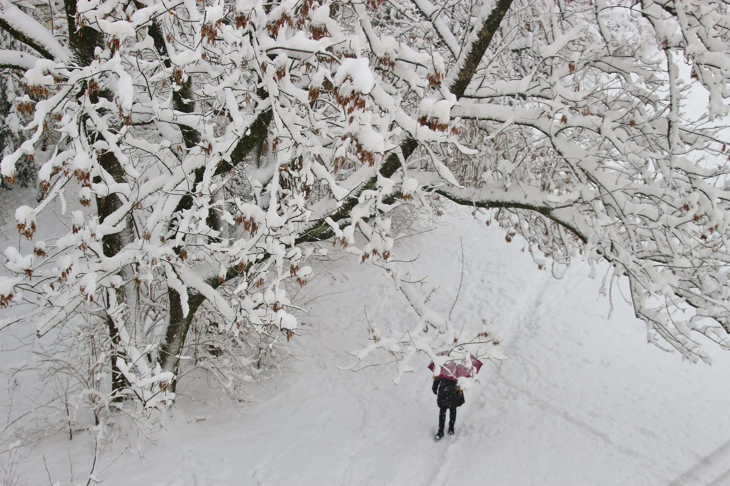 Winter Break Conversations: College Isn’t Going Anywhere