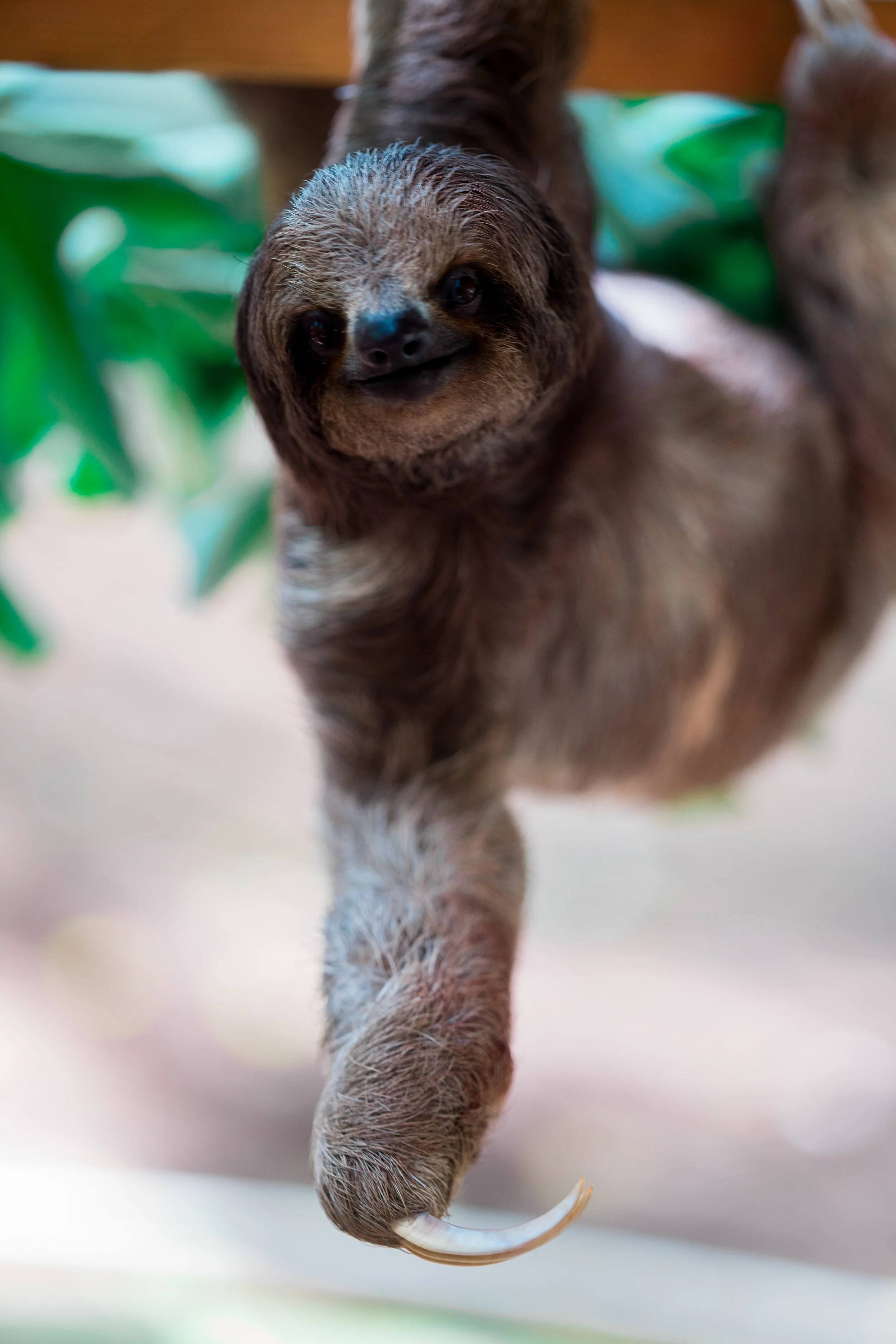 Hang in there