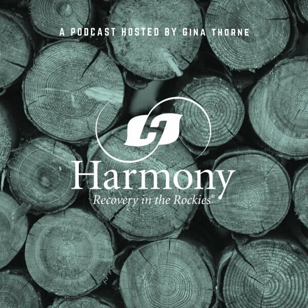 Lilley Consulting interviewed for Harmony Foundation's Podcast Series