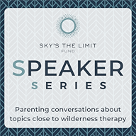 Launched &amp; Unraveled: The Young Adult Phenomena 