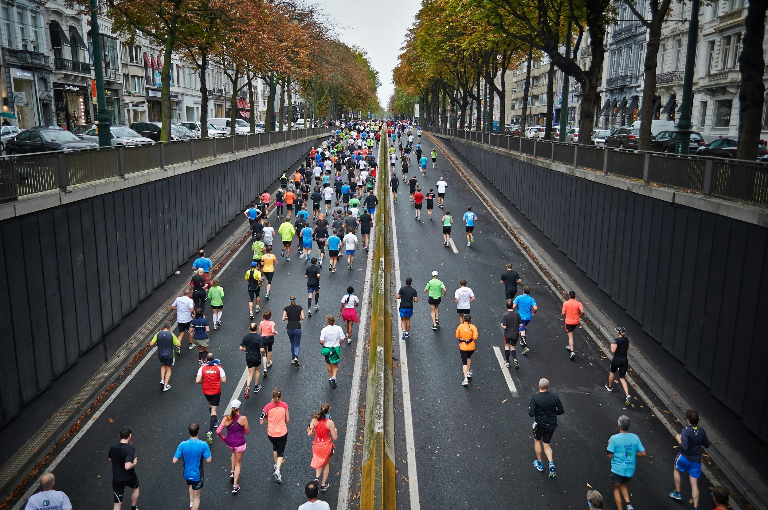 Embrace the Pace