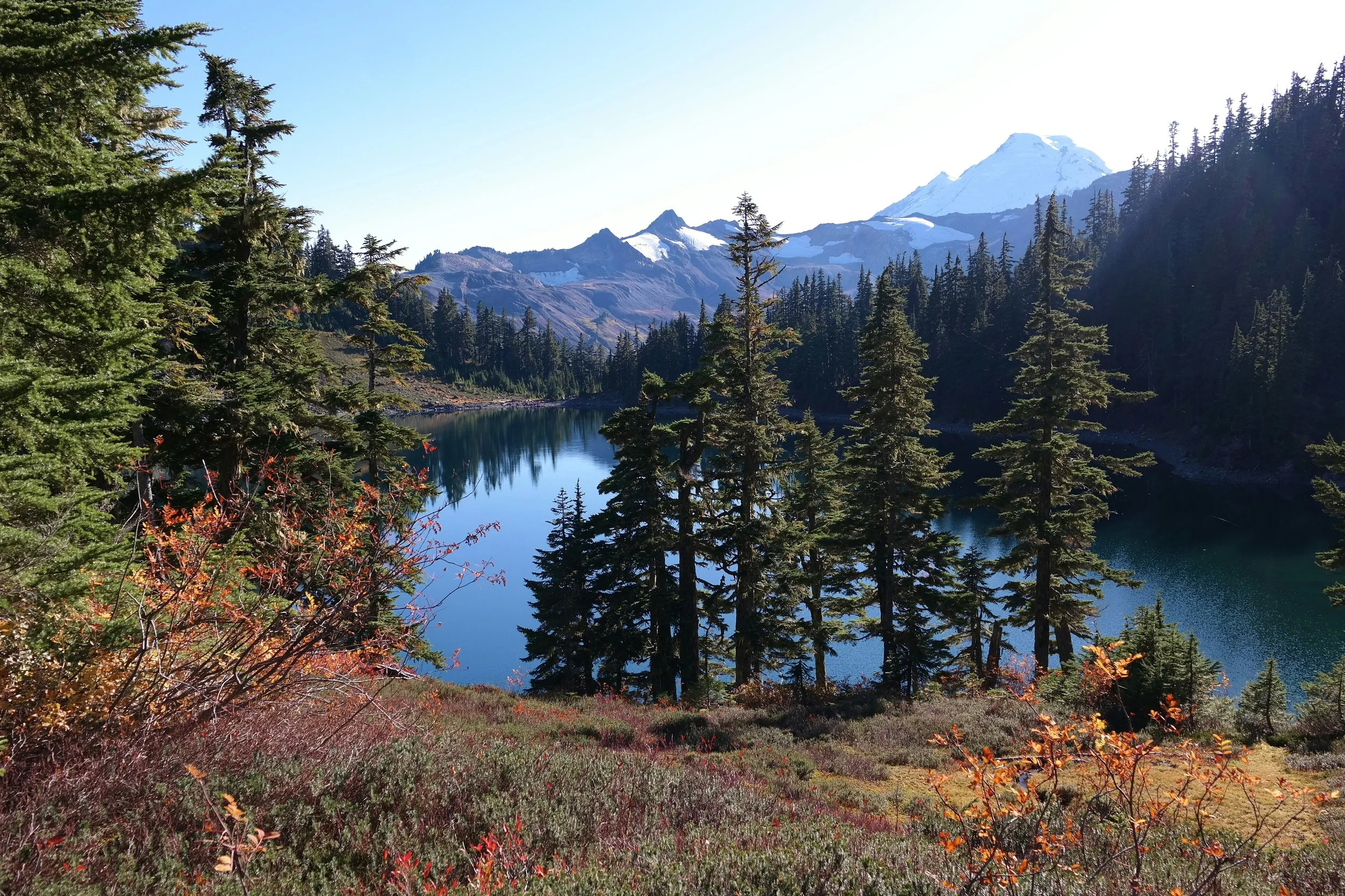 Wilderness Therapy Alternative