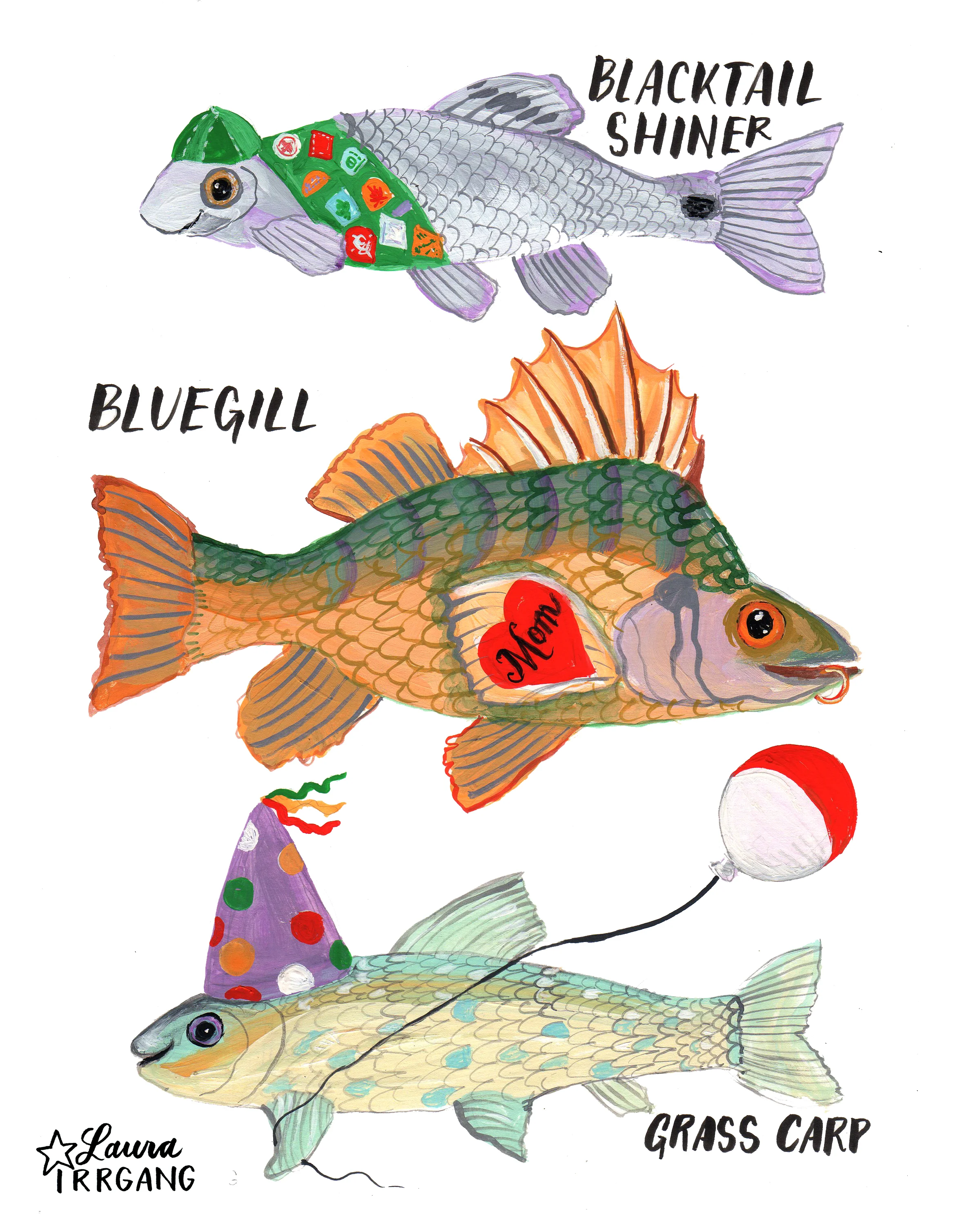 YMCA fish.jpg