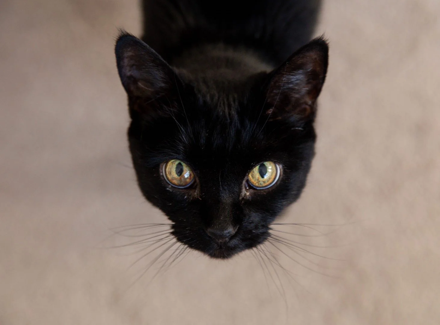 IMG_8936-Enhanced (Large).jpg