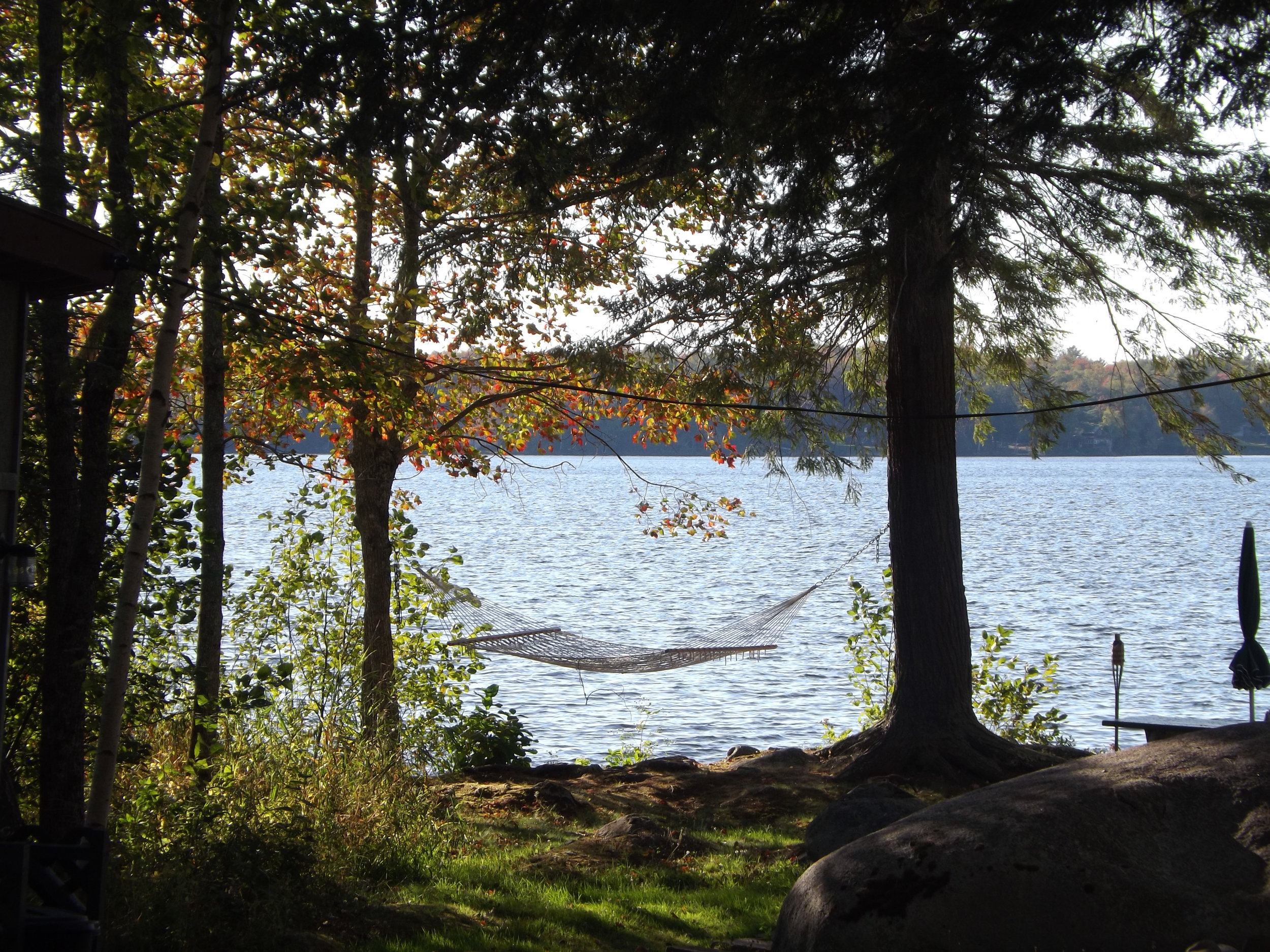 Hammock on the lake