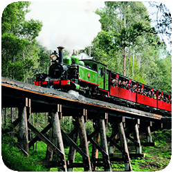 Tour 322 Morning Puffing Billy.png
