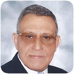 Razek Abdel Assem.png