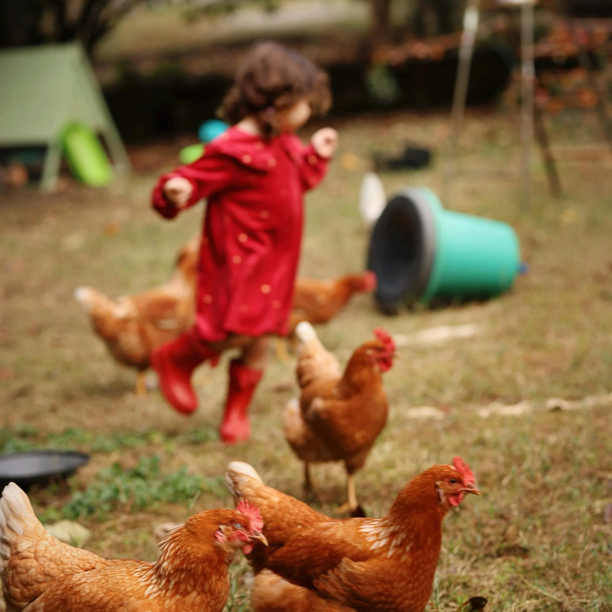 Are Free-Range Parents Getting Arrested?