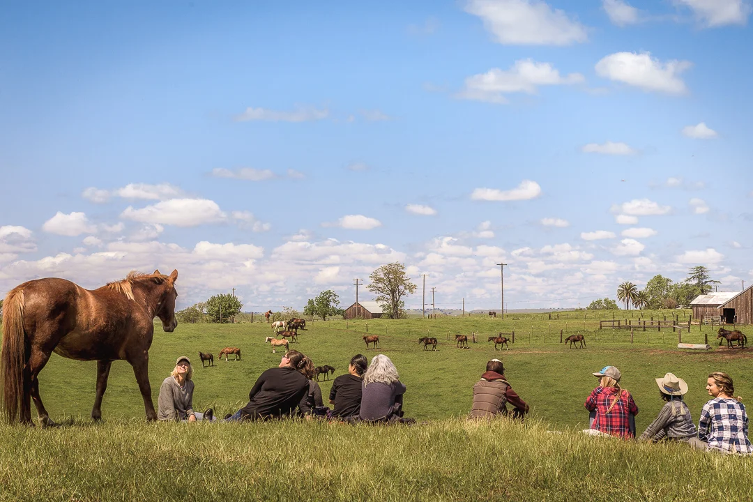 SheHerdPower-1217.jpg