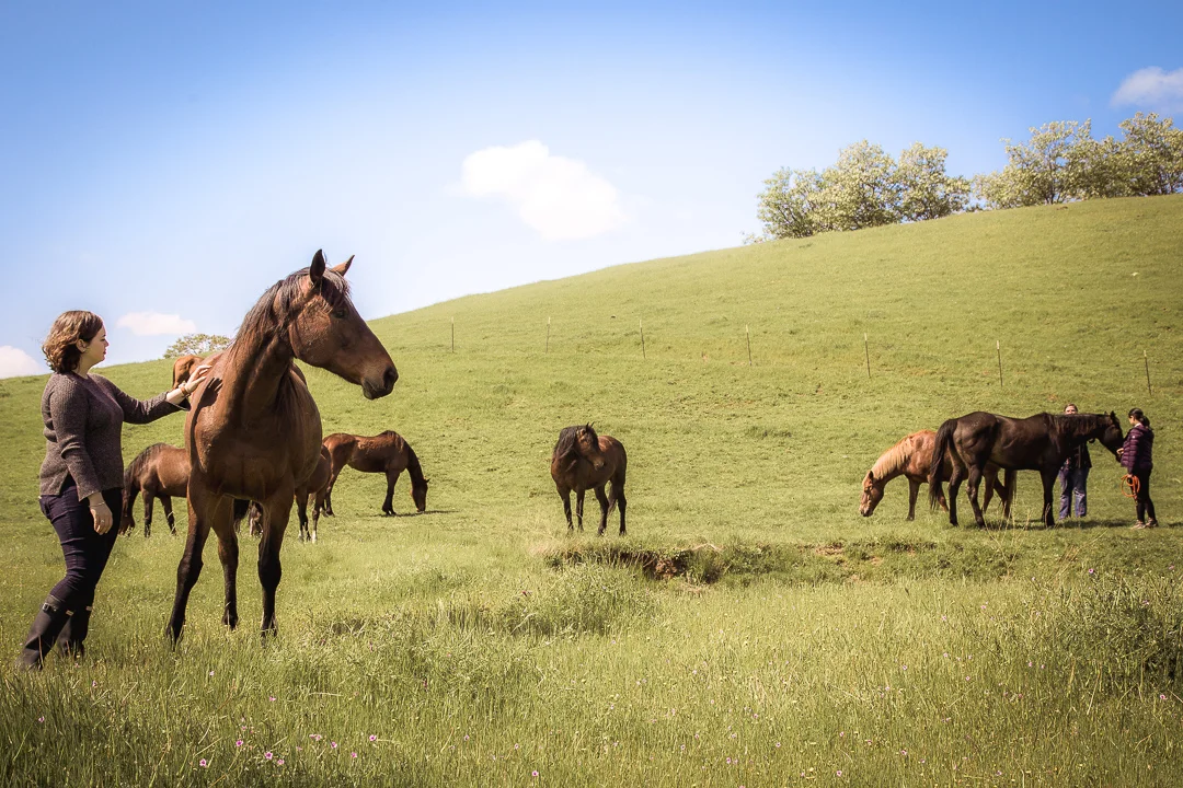 SheHerdPower-1158.jpg