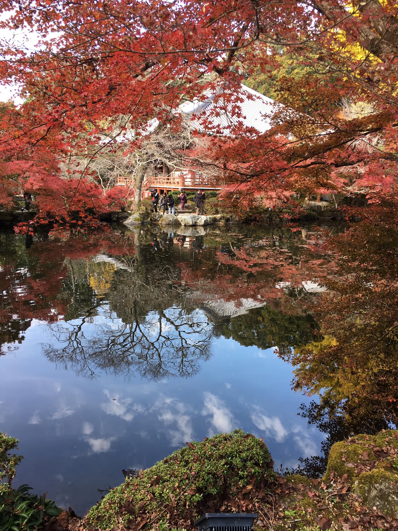 The less iconic shrines in Kyoto are even more  amazing! You get the feel of serenity, and with less people you will also experience zen and full relaxation.