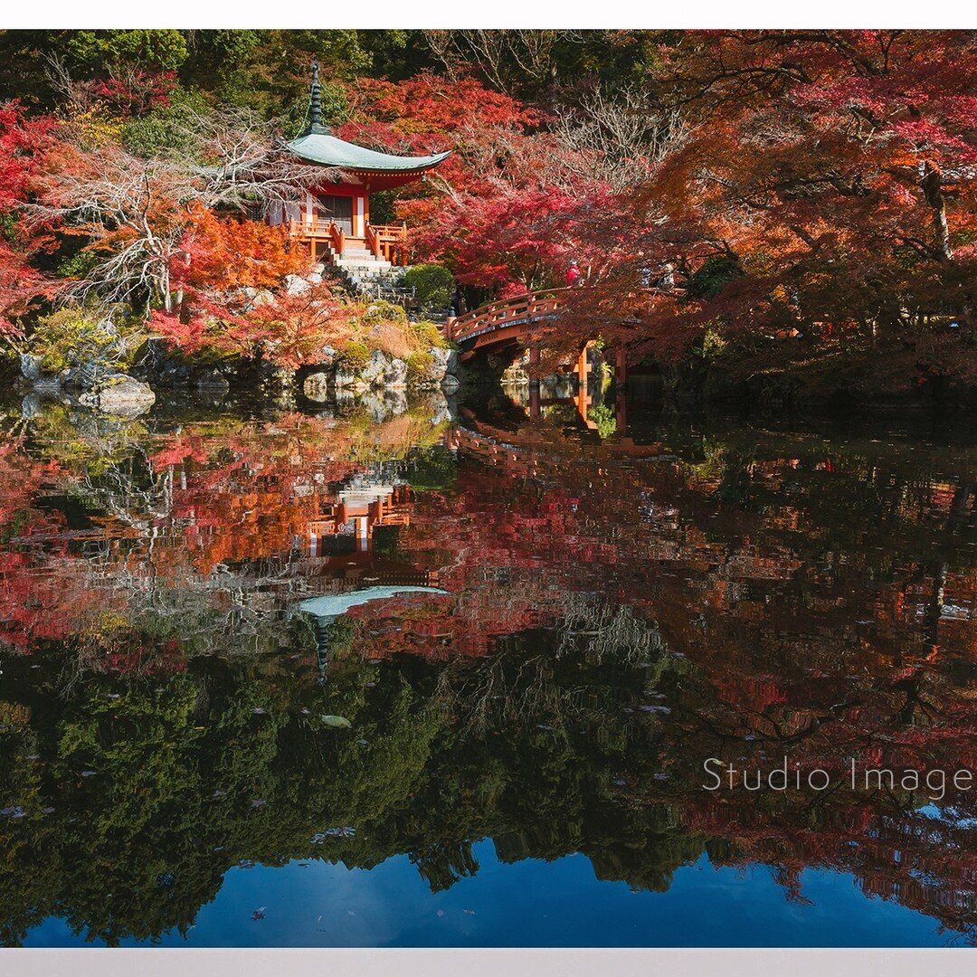 Shrines, temples, shades of red, autumn colours make Japan so beautiful in the fall. My favourite are the temples and shrines in Kyoto. #japanuary ❤️