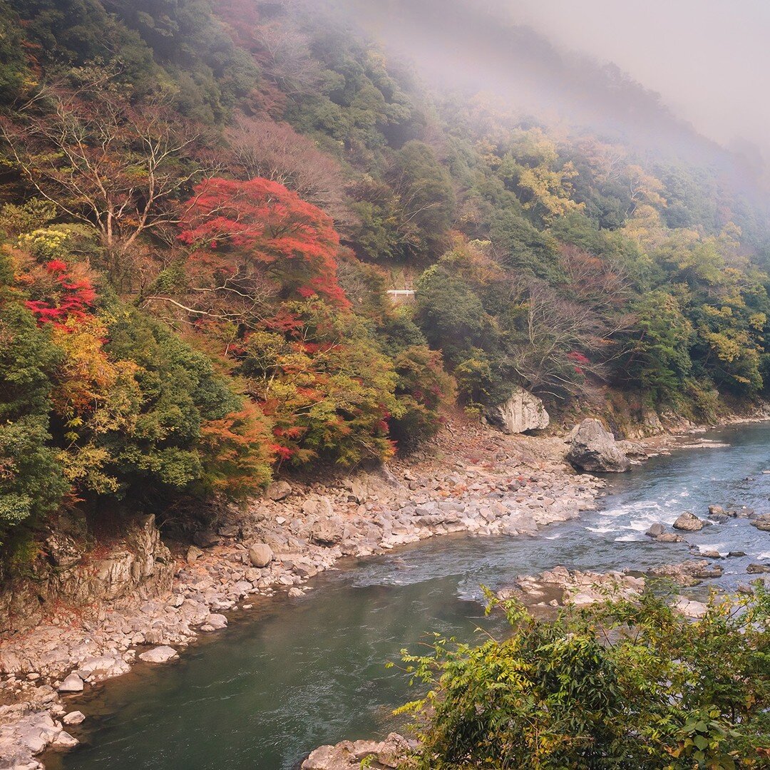 Love the Sagano Romantic Train journey. The autumn scenes from the ride alongside the morning mist can only be described as autumn beauty at its best. Thank you Amy @cakeswithfaces for recommending this train ride. #japanuary