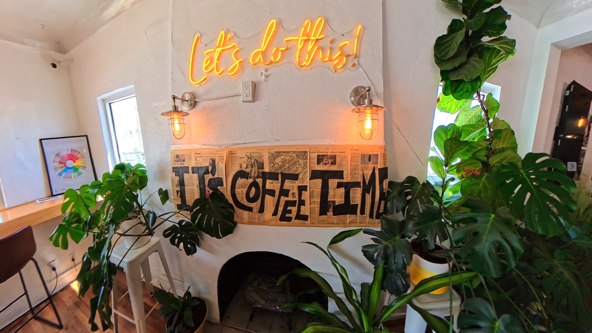 787 Coffee Co. — Island Roots, Border Brew