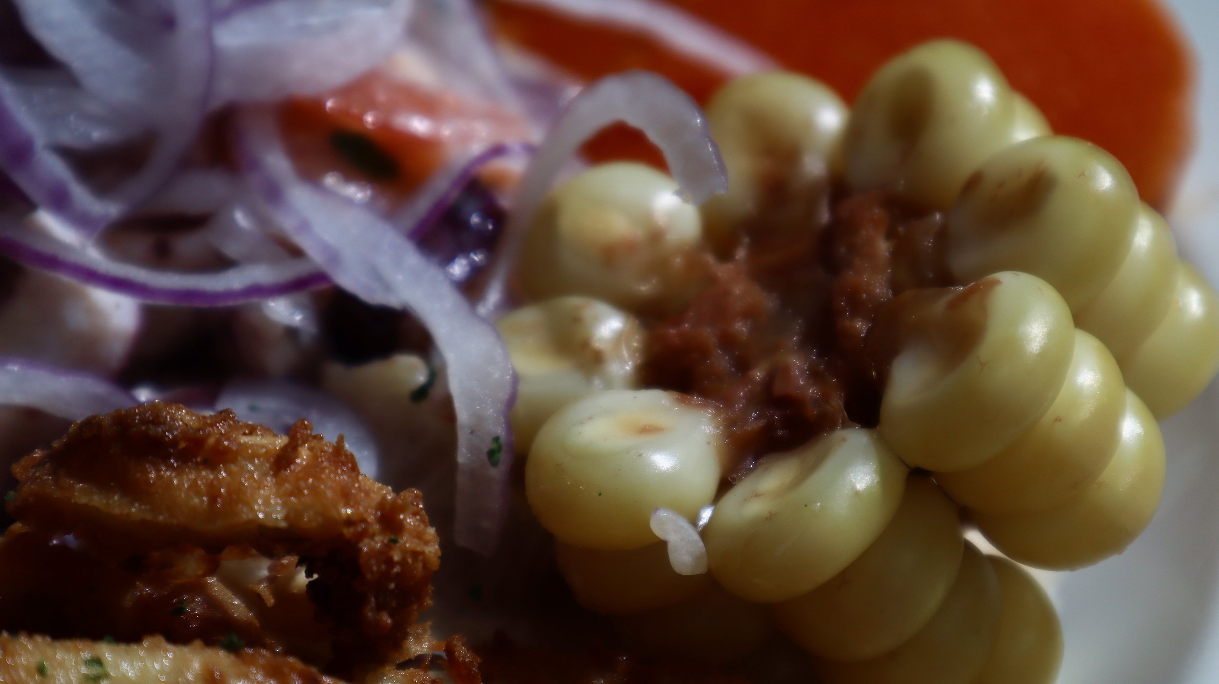 amar_peruvian_el_paso - 10.jpeg