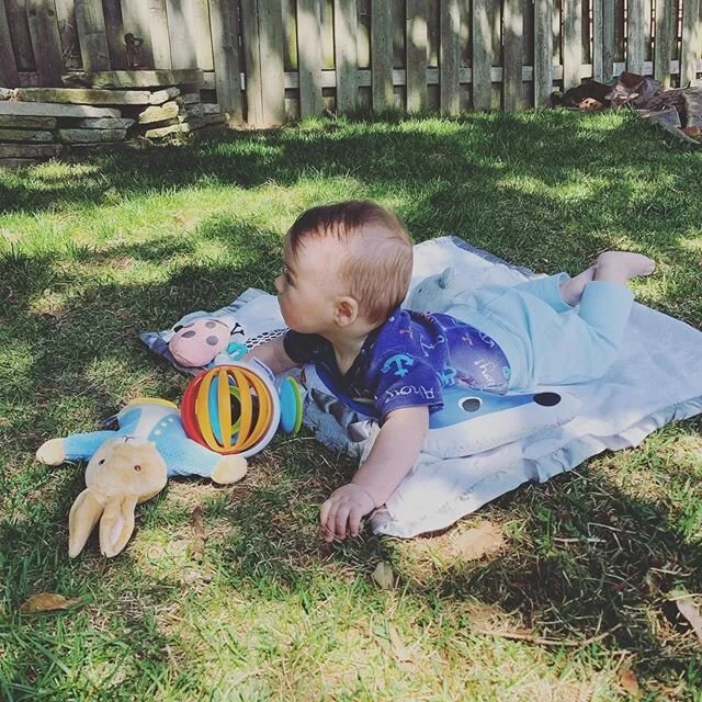 We could listen to the birds and watch the wind blow through the trees all day. 🌳🐿🦉