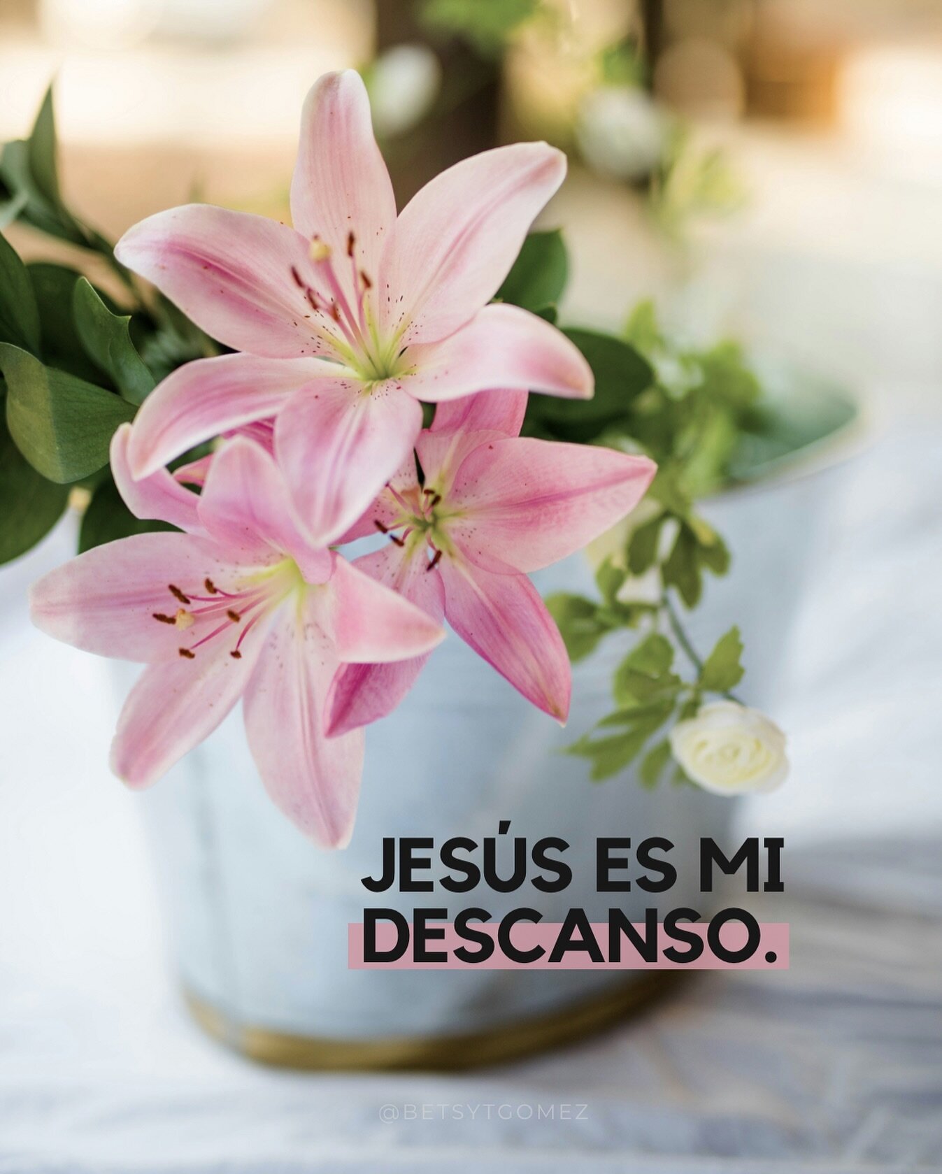 El descanso solo es posible en la persona y en la obra de Jes&uacute;s. 🙌