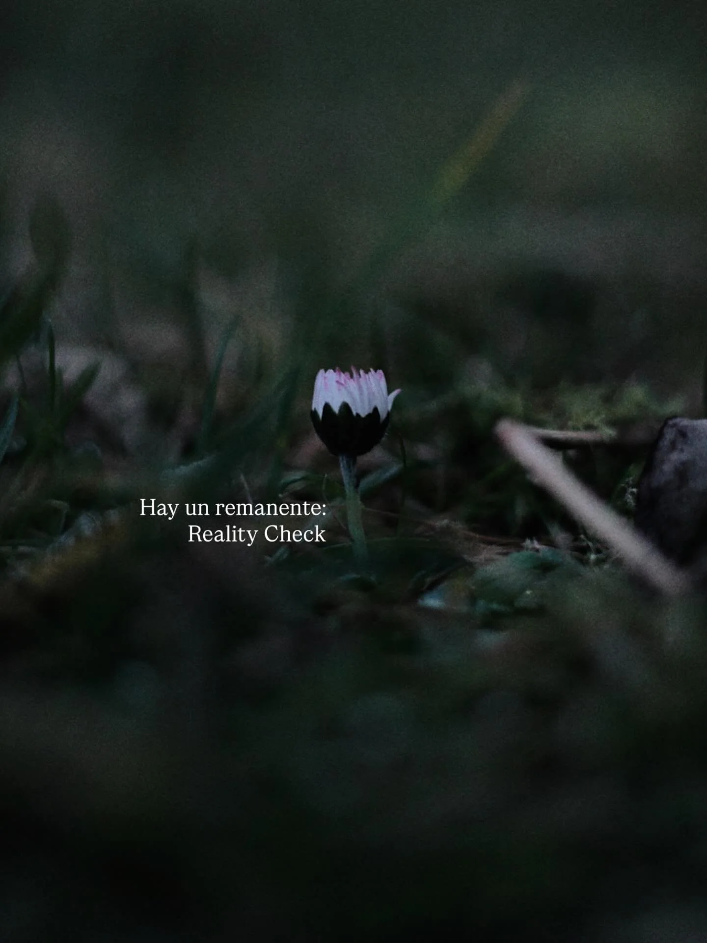 Reality check.

Hay un remanente que no quiere tragarse la p&iacute;ldora de la idealizaci&oacute;n de las redes.
Que resiste la presi&oacute;n de convertirse en creadores de un contenido que no vive.
Que comparte desde la abundancia de lo que Dios f