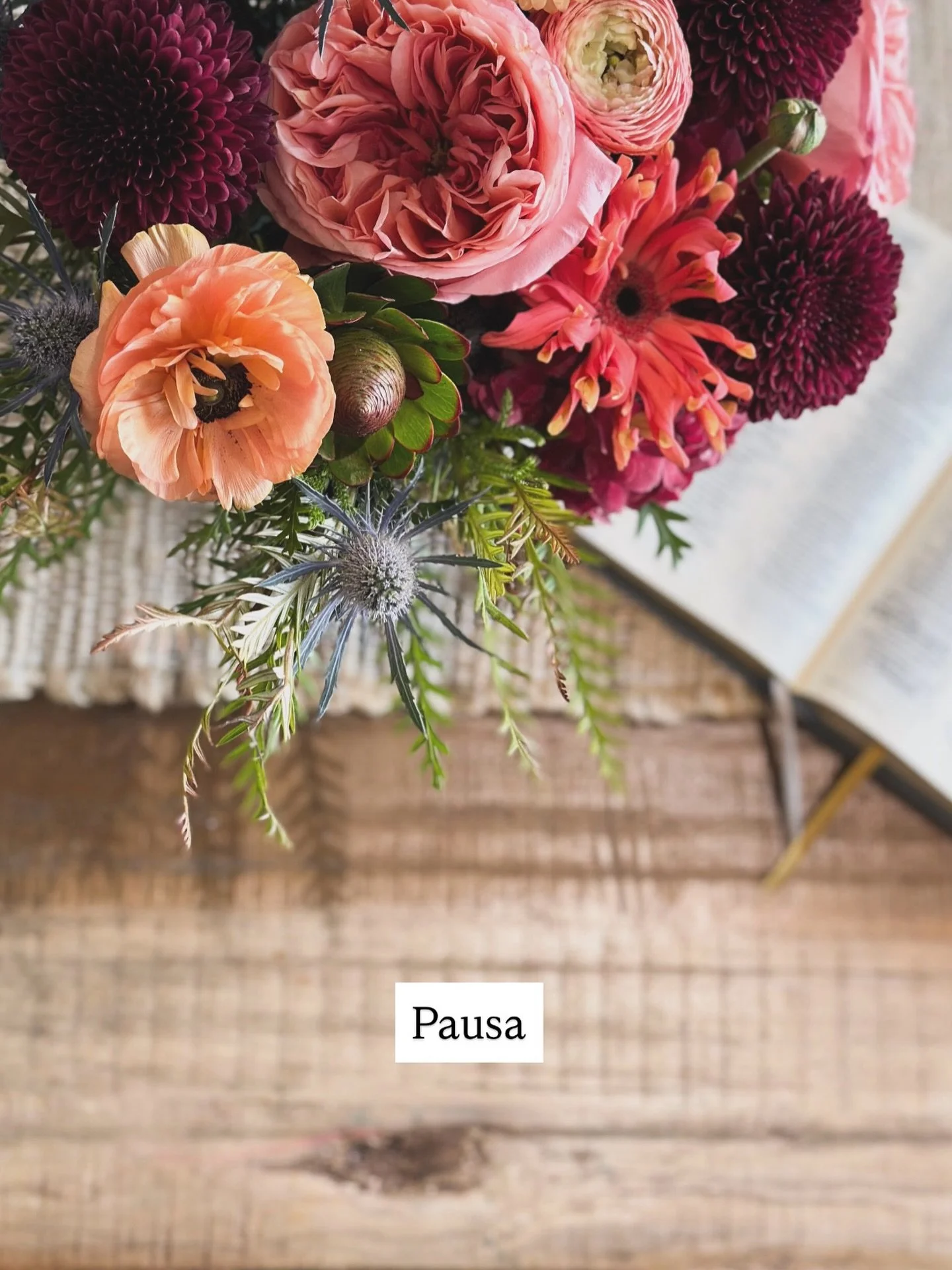 Tomar&eacute; unas semanas de pausa por aqu&iacute;. A veces, desconectarnos con intenci&oacute;n nos abre m&aacute;s espacio para el ministerio de estar presentes. 🥹🙌🏼

En unos d&iacute;as enviar&eacute; un correo con algunas actualizaciones y pa