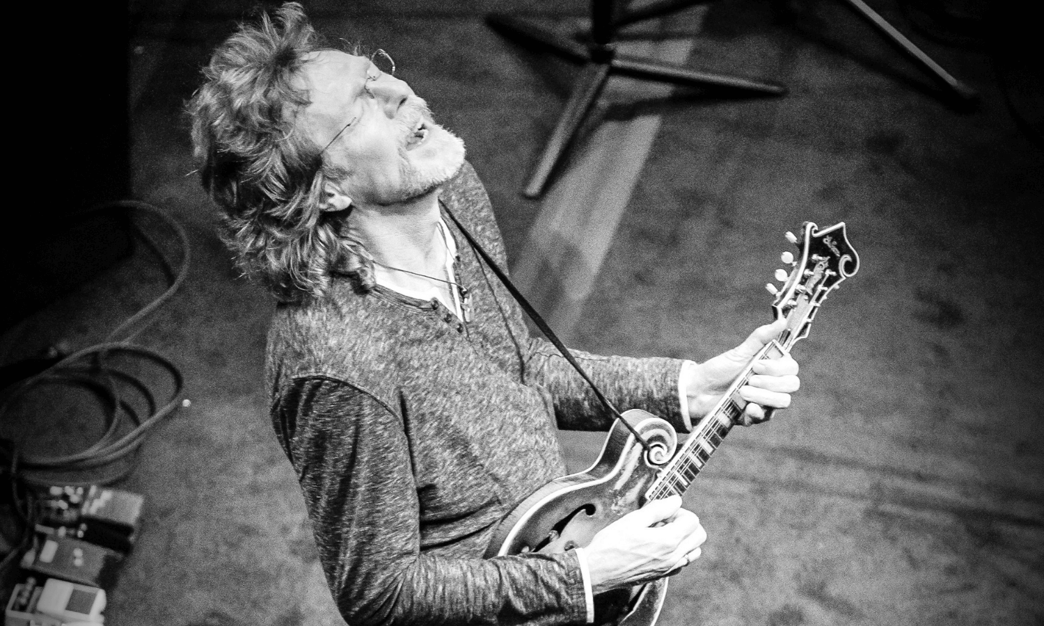 Sam_Bush_green_mountain_bluegrass (1).png