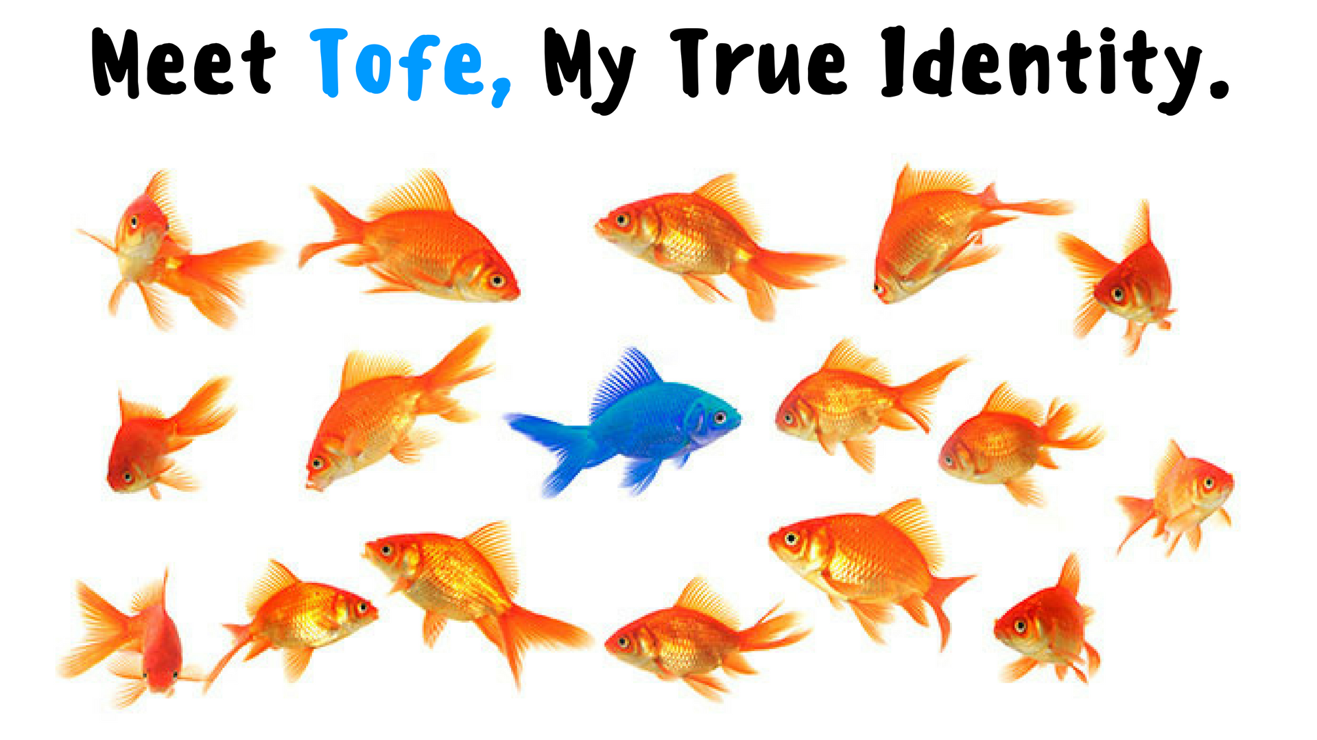 Meet Tofe, My True Identity.png