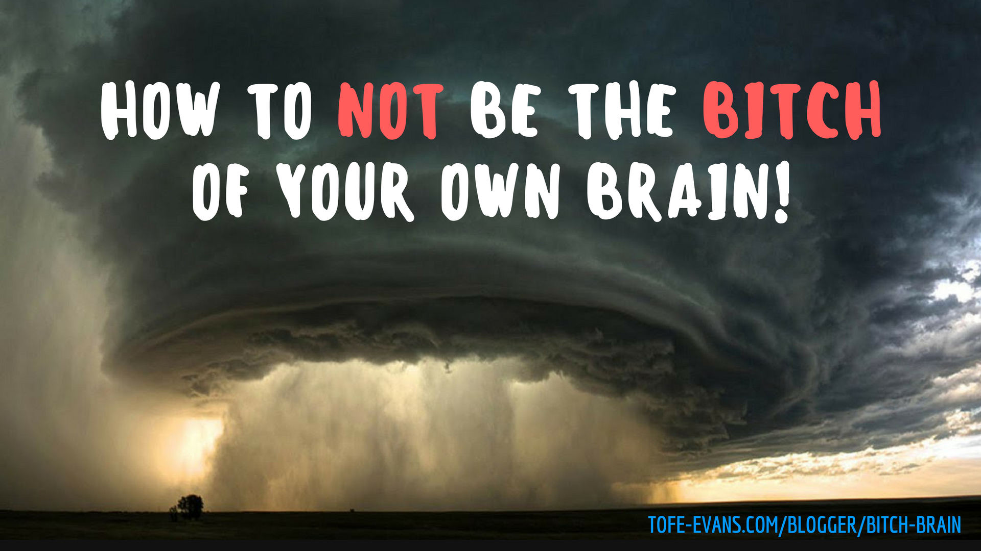 BLOG - HOW TO NOT BE THE BITCH OF YOUR OWN BRAIN!.png