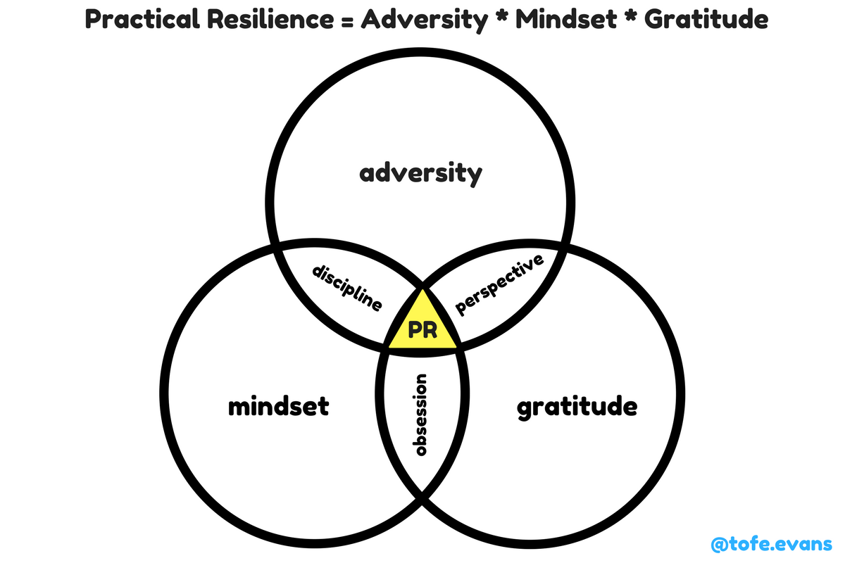 Practical Resilience Framework.png
