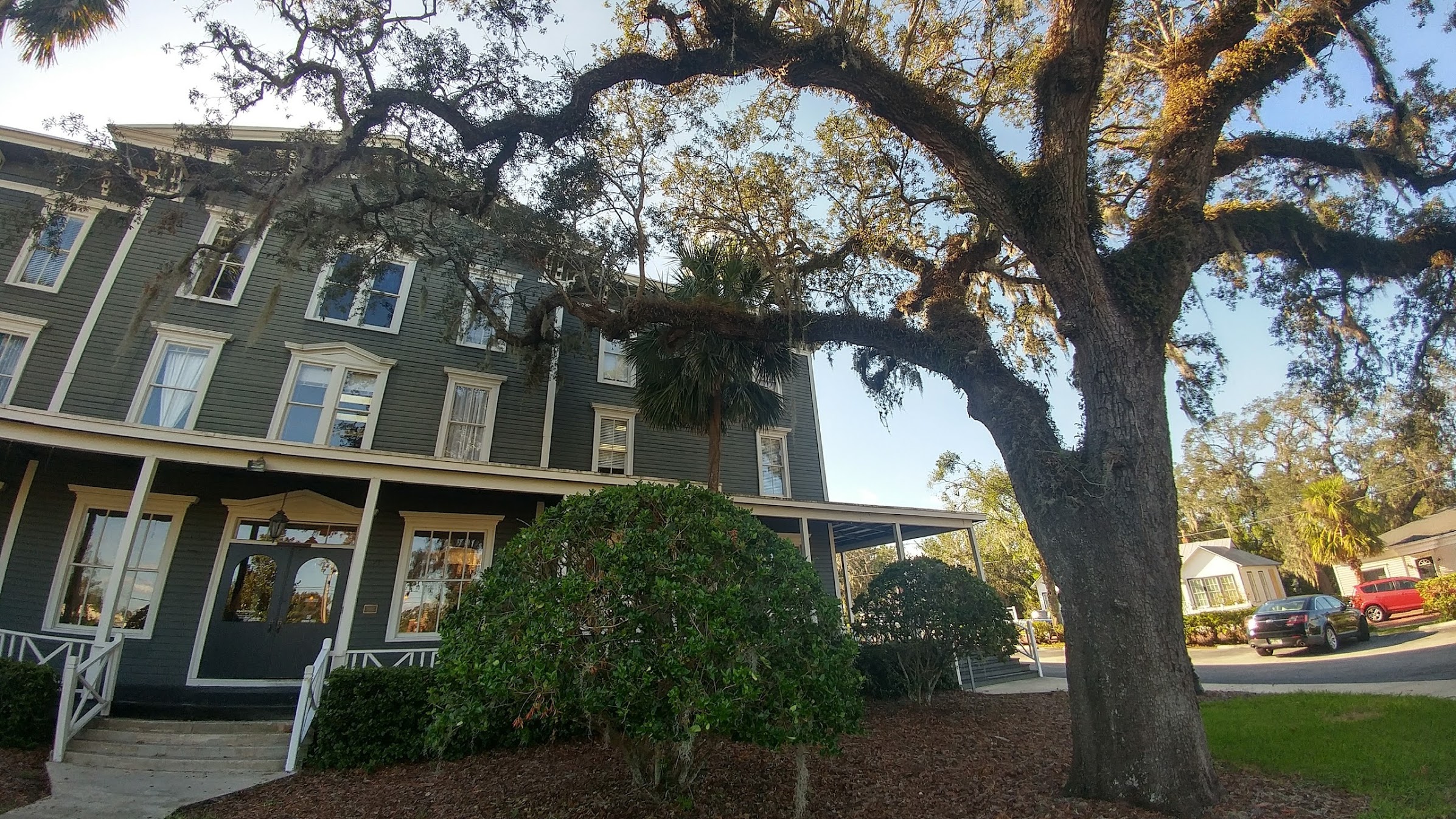 That tree is just epic!