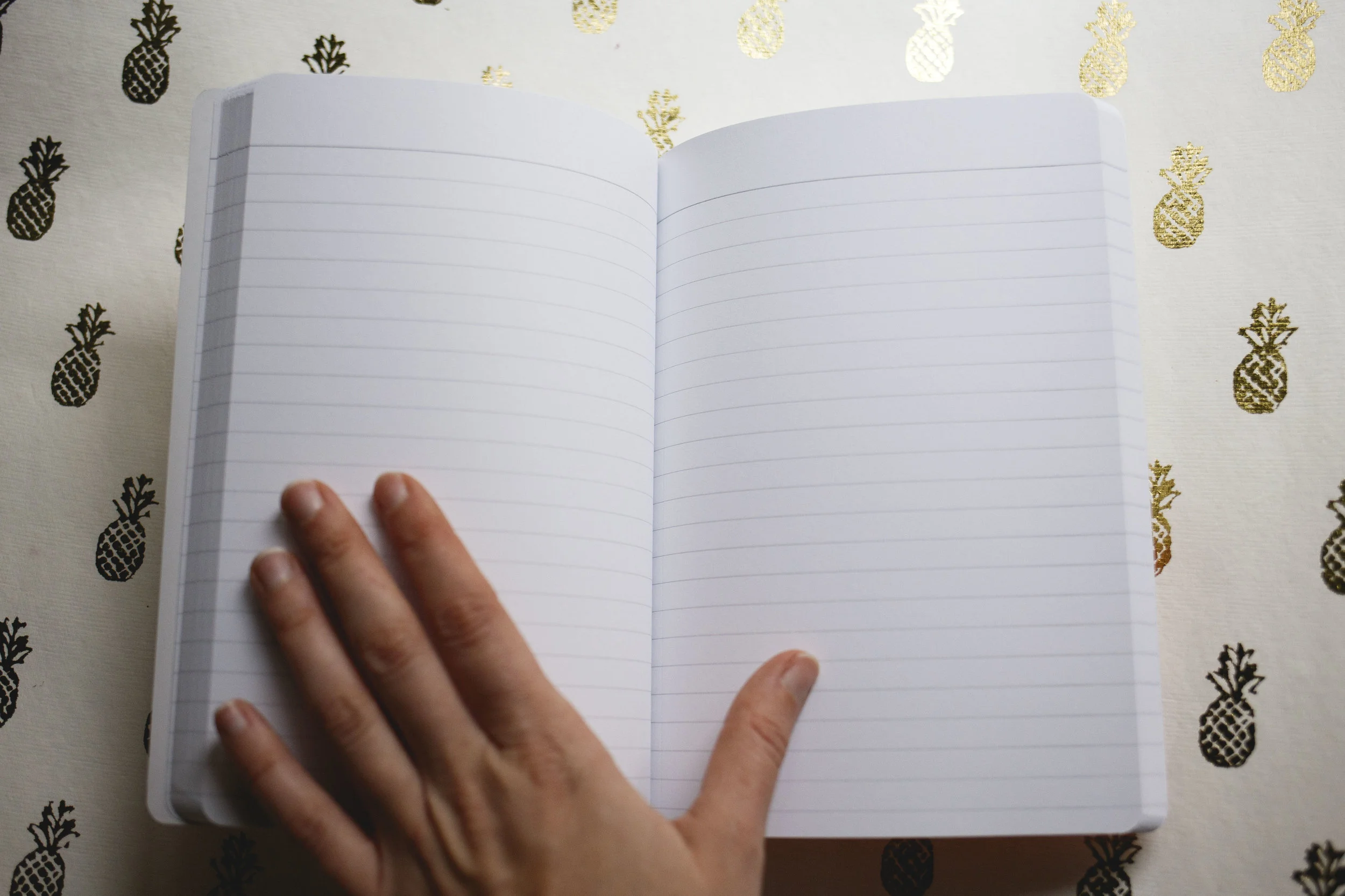 notebook_2.jpg