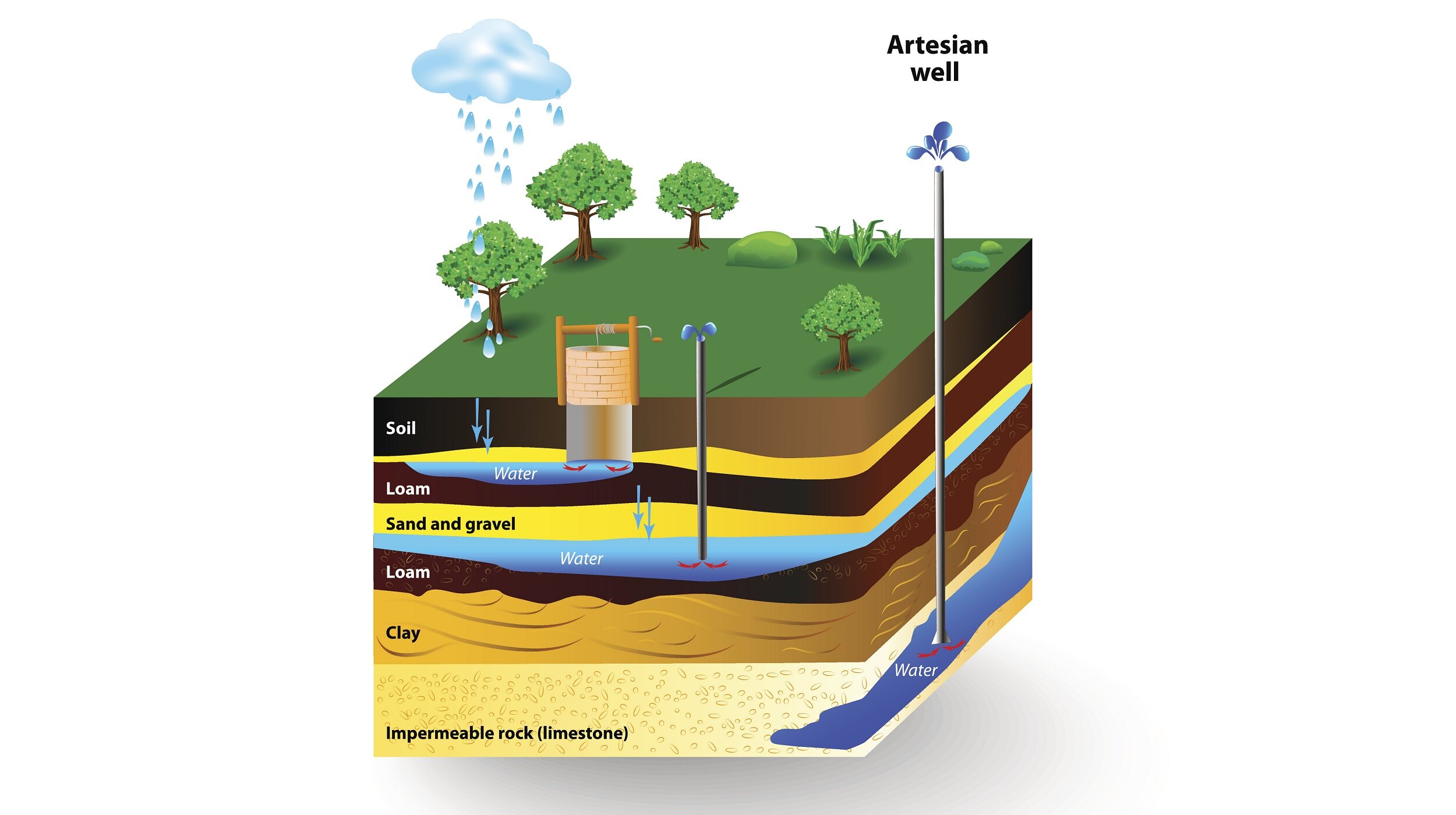 Conceptual Site Model