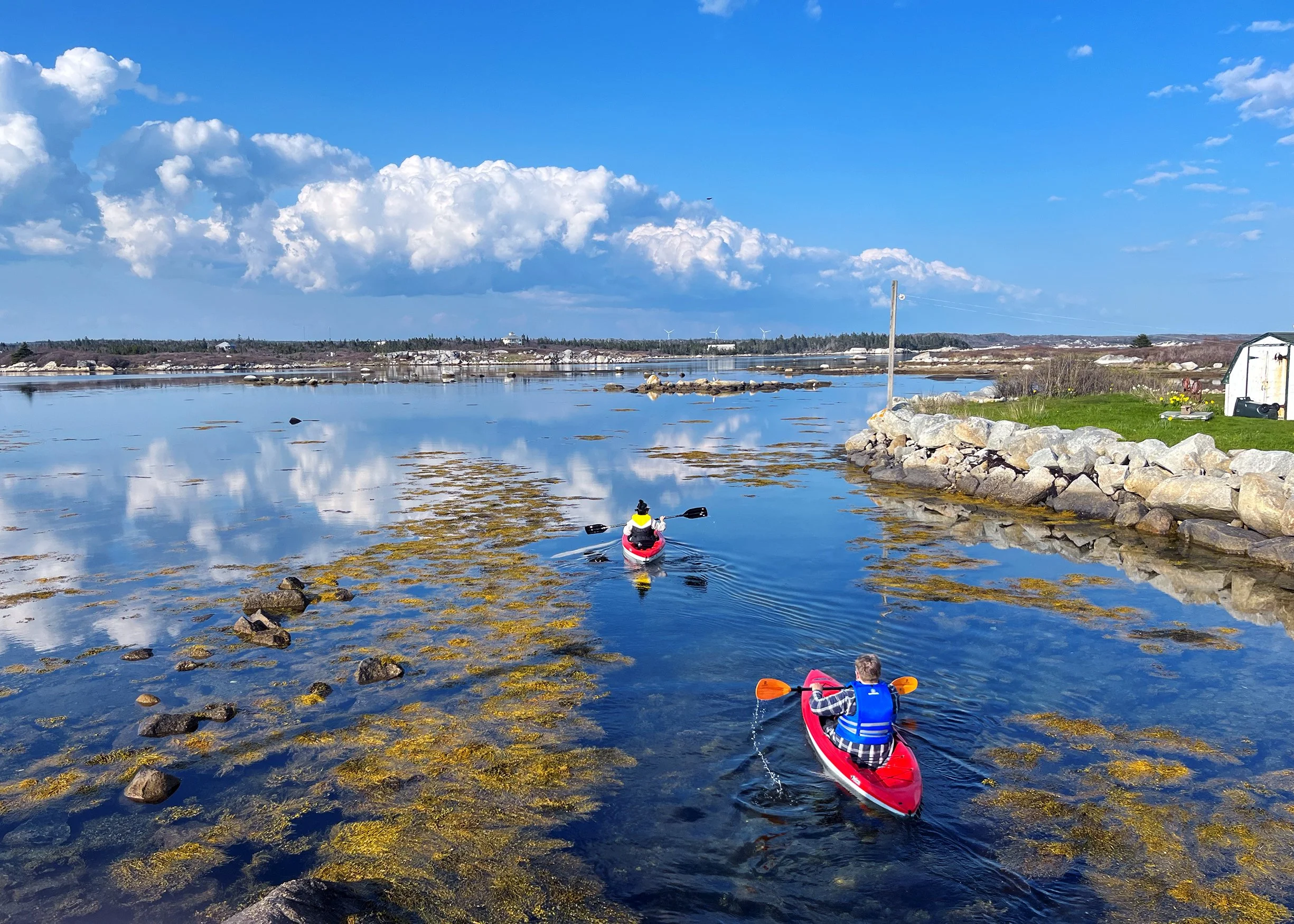 landscape 5x7 02.jpg