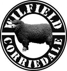 WILFIELD SHEEP STUD