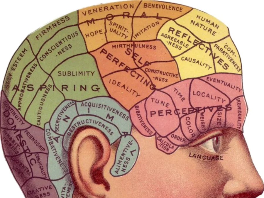 Trauma and the Brain