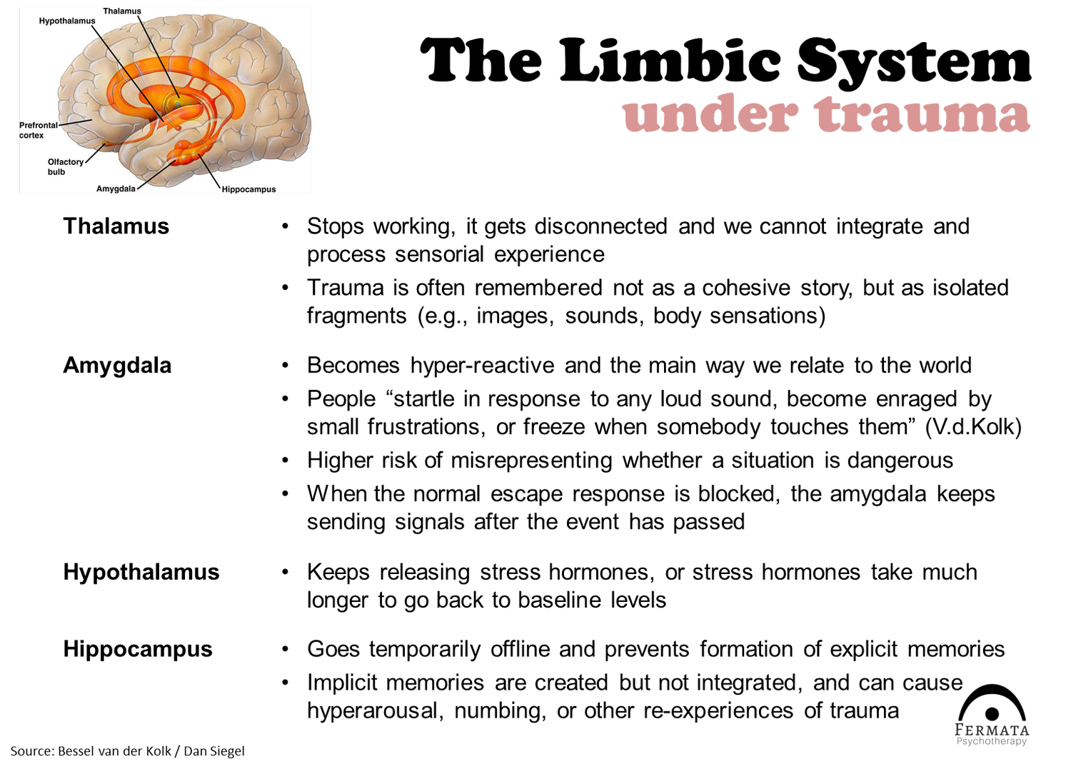 Trauma Spectrum Trauma and the Brain | Fermata Psychotherapy | Chicago, IL