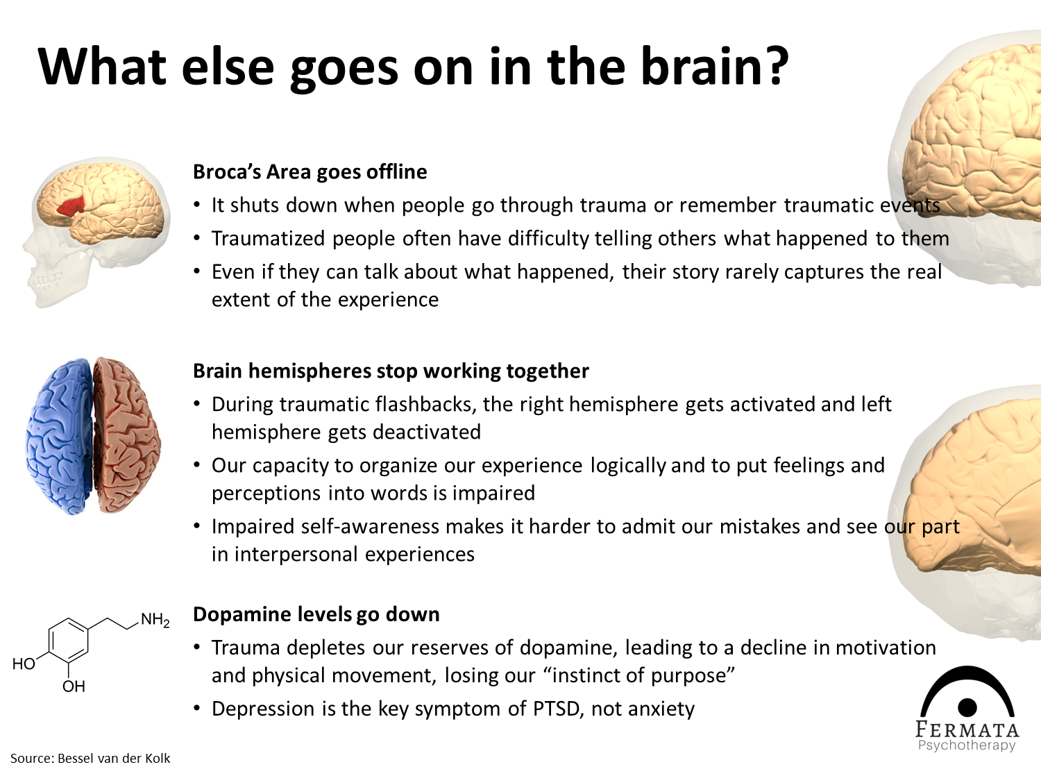 Trauma PPT Slide 11.png
