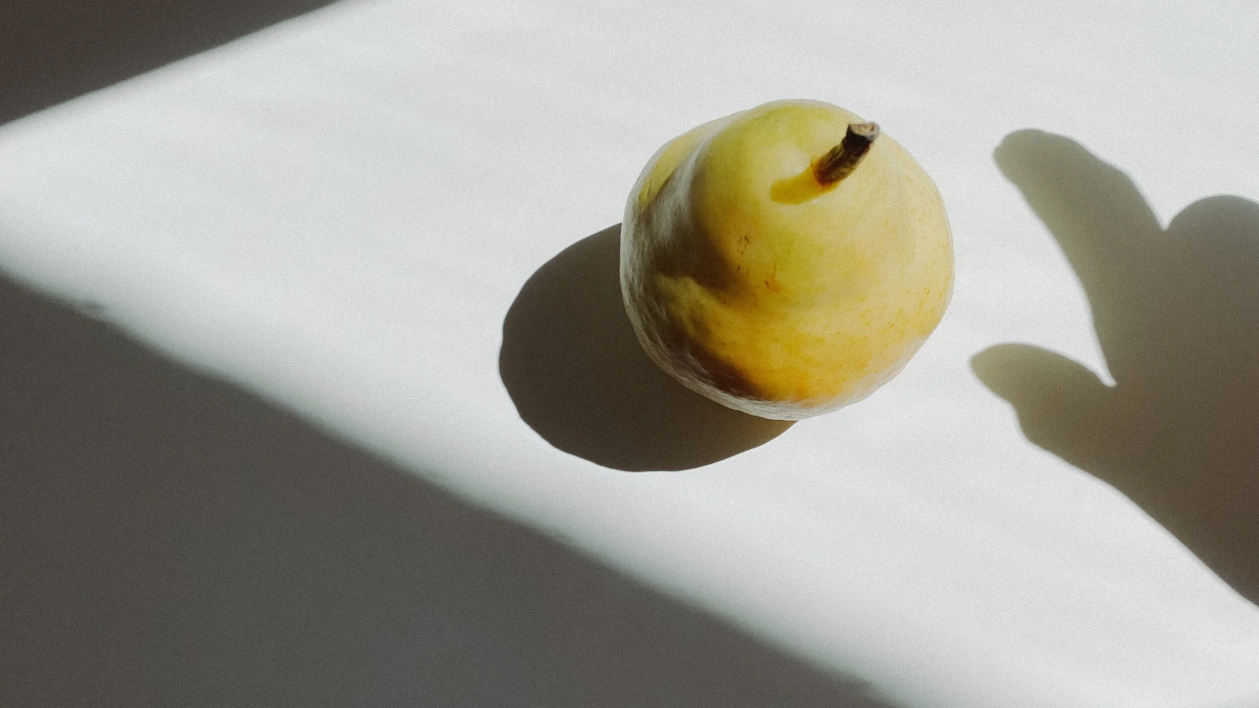 Of Fruit and Covid