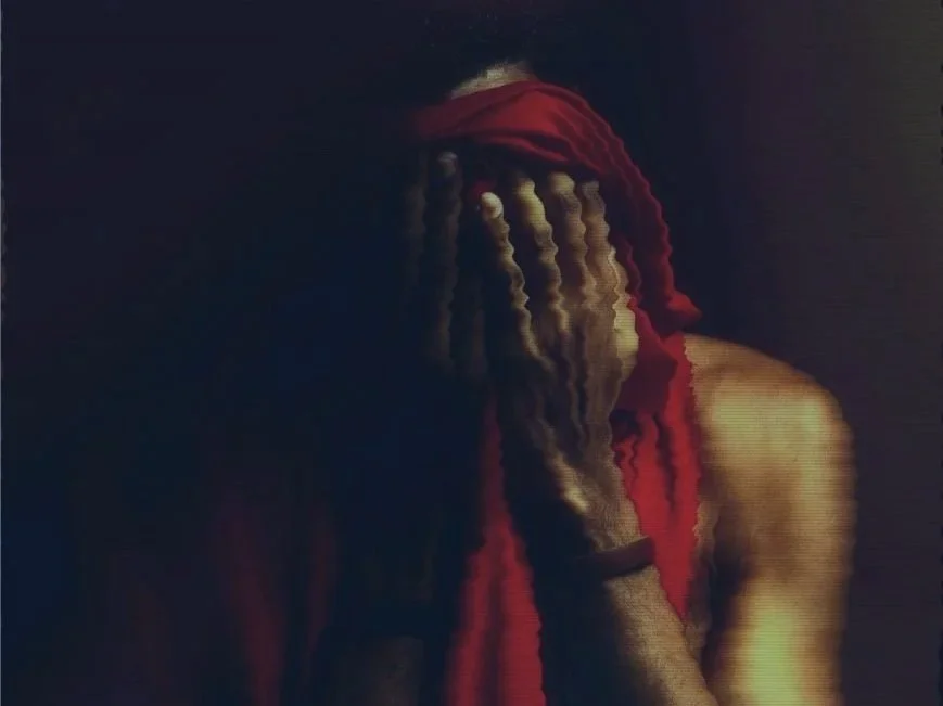 What is the opposite of shame?