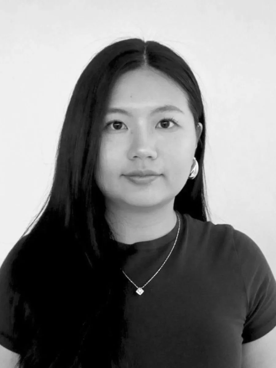 Tina Chen, counselor in chicago, IL