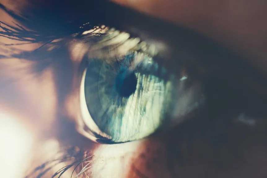 Close-up of a human eye with visible iris, eyelashes, and reflected outdoor scene.