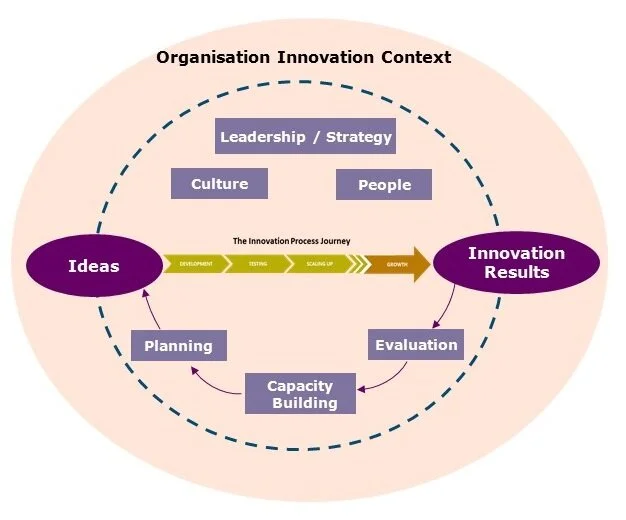 Innovation Strategy and Innovation Management System