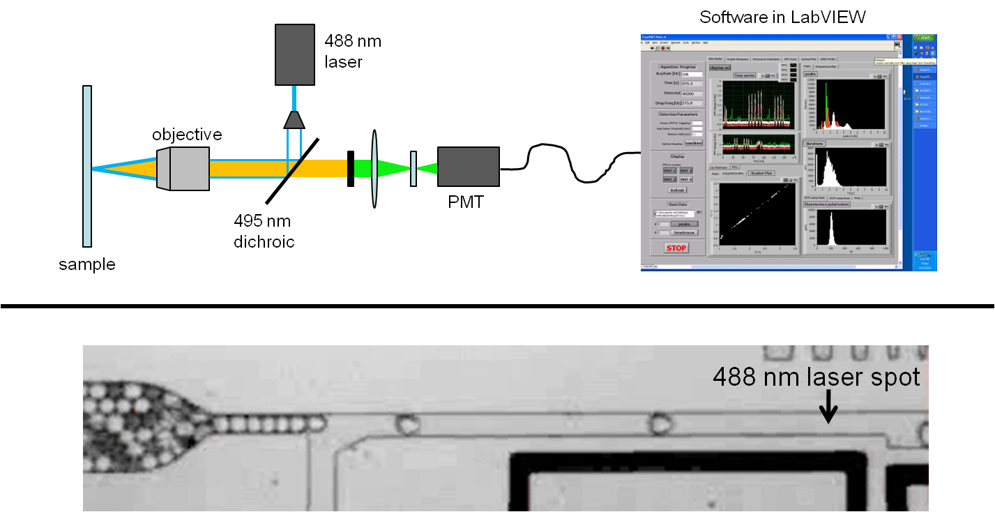 An experimental setup for detecting fluorescent signal from microdroplets.