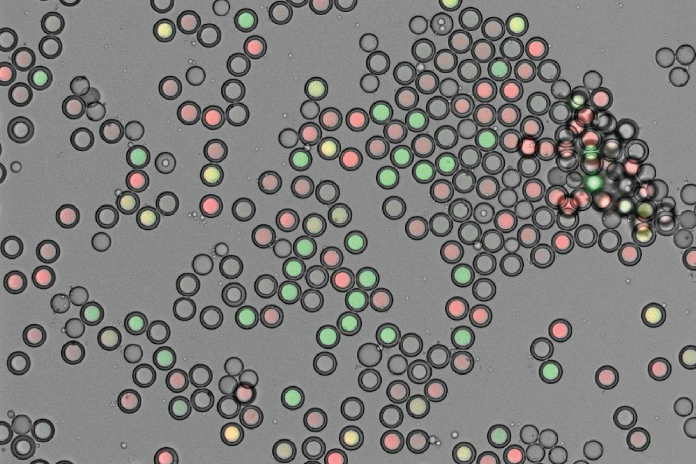 Nucleic Acid Cytometry