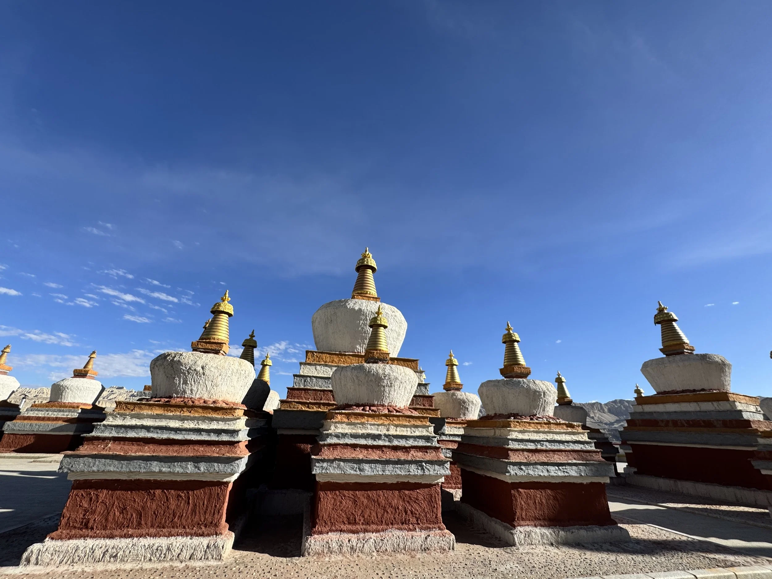 Stupa Forest