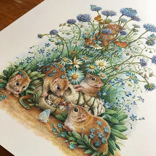 My Crest-tailed Mulgaras piece for the upcoming &lsquo;Antipodes&rsquo; group show at @beinartgallery. Opening reception: Jan 18th, 6-9pm, on view: Jan 19th - Feb 2nd. Email info@beinart.org for sales enquiries.
.
#mulgara #cresttailedmulgara #threatenedspecies #australiannative